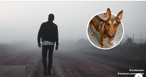Mann verließ seinen Hund, nachdem er seinen Job wegen Covid-19 verlor: Er hinterließ eine rührende Nachricht